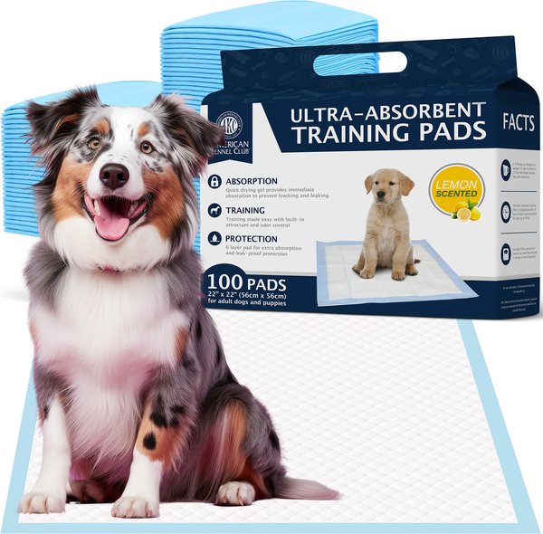 Show full view: American Kennel Club Dog Training Pads, 22 x 22-in, 100 count, Lemon Scented slide 1 of 9