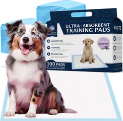 American Kennel Club Dog Training Pads, 22 x 22-in, 100 count, Lavender Scented