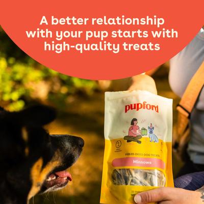 Show full view: Pupford Minnows Limited Ingredient Freeze-Dried Dog Treats, 1.5-oz pouch slide 6 of 9