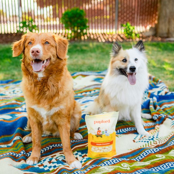 Show full view: Pupford Gouda Crunchies Human-Grade Limited Ingredient Gouda Cheese Flavored Crunchy Dog Treats, 7.5-oz bag slide 5 of 10
