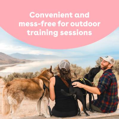 Show full view: Pupford Train Sweet Potato Natural Freeze-Dried Dog Treats, 4-oz bag slide 5 of 13