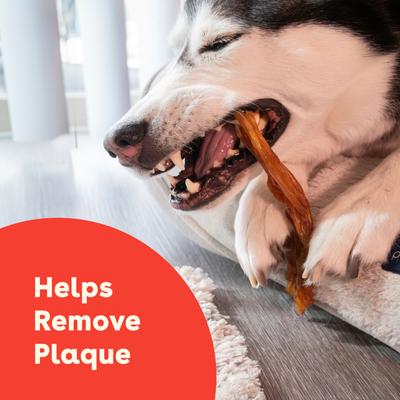 Show full view: Pupford Beef Tendon Dog Chews, 4 count slide 5 of 12