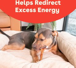 Pupford Beef Tendon Dog Chews, 10 count slide 2 of 9