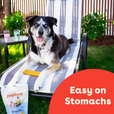 Show full view: Pupford Himalayan Yak Cheese Medium Dog Chew, 3 count slide 8 of 10