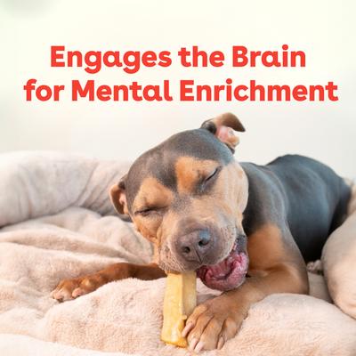 Show full view: Pupford Himalayan Yak Cheese Medium Dog Chew, 3 count slide 6 of 10