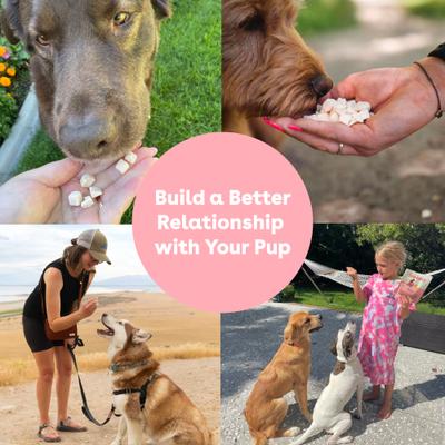 Show full view: Pupford Train Sweet Potato Natural Freeze-Dried Dog Treats, 4-oz bag slide 7 of 13