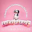 Show in main carousel: Pupford Train Rabbit Natural Freeze-Dried Dog Treats, 4-oz bag slide 9 of 13