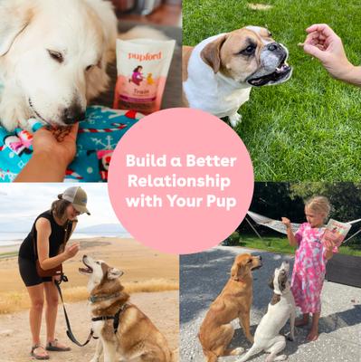 Show full view: Pupford Train Rabbit Natural Freeze-Dried Dog Treats, 4-oz bag slide 7 of 13