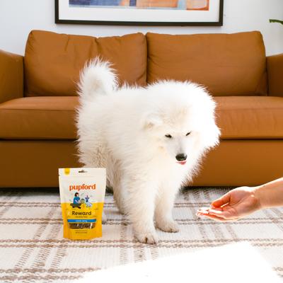 Show full view: Pupford Lamb High-Protein Jerky Dog Treats, 7-oz bag slide 5 of 11