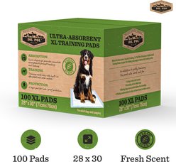 Dr. Pol 28 x 30-in Fresh Scent Dog Training Pad, 100 count slide 2 of 6