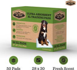 Dr. Pol 28 x 30-in Fresh Scent Dog Training Pad, 50 count slide 2 of 6