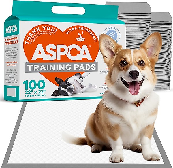 Show full view: ASPCA Dog Training Pads, 22 x 22-in, 100 count, Fresh Scented slide 1 of 7