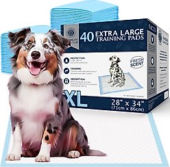 American Kennel Club AKC Dog Training Pads, 28 x 34-in, 40 count, Fresh Scented