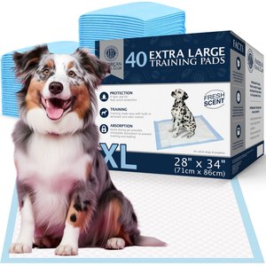 American Kennel Club AKC Dog Training Pads, 28 x 34-in, 40 count, Fresh Scented