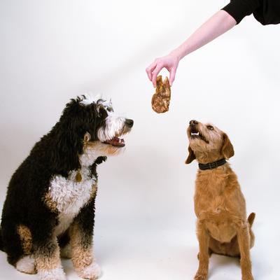 Show full view: Pupford Lamb High-Protein Jerky Dog Treats, 7-oz bag slide 7 of 11