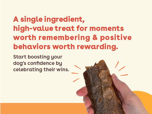 Show full view: Pupford Salmon High-Protein Jerky Dog Treats, 4-oz bag slide 6 of 11