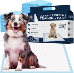 American Kennel Club Dog Training Pads, 22 x 22-in, 100 count, Fresh Scented