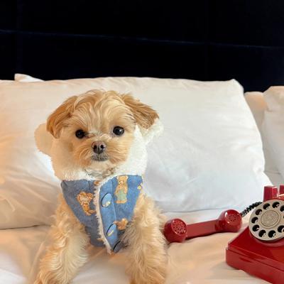 Show full view: Dolly Pet Denim Bear Chic Dog Coat, Medium slide 3 of 4