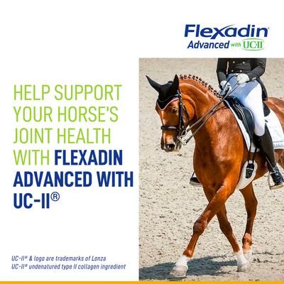 Show full view: Vetoquinol Flexadin UC-II Joint Health Support Banana Flavor Powder Horse Supplement, 1.32-lb jar slide 7 of 10
