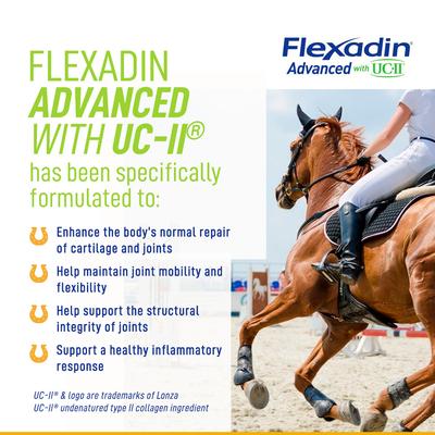 Show full view: Vetoquinol Flexadin UC-II Joint Health Support Banana Flavor Powder Horse Supplement, 1.32-lb jar slide 3 of 10