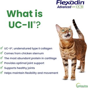 Vetoquinol Flexadin Advanced with UCII Collagen Soft Chews Joint Supplement for Dogs & Cats, 60 count