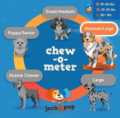 Show full view: Jack & Pup Odor-Free Beef Bully Sticks Ring 4-in Dog Chew slide 4 of 6