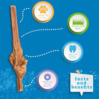 Show full view: Jack & Pup 6-inch Junior Bully Stick Dog Chews, 25 count slide 3 of 9