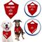 Show in main carousel: Pets First NCAA Ohio State Buckeyes Personalized Dog Bandana, Large/X-Large slide 3 of 7