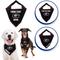 Show in main carousel: Pets First NCAA Georgia Bulldogs Personalized Dog Bandana, Small/Medium slide 3 of 5