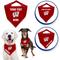 Show in main carousel: Pets First NCAA Wisconsin Badgers Personalized Dog Bandana, Large/X-Large slide 3 of 5