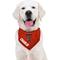 Show in main carousel: Pets First NCAA Texas Tech Personalized Dog Bandana, Large/X-Large slide 5 of 5