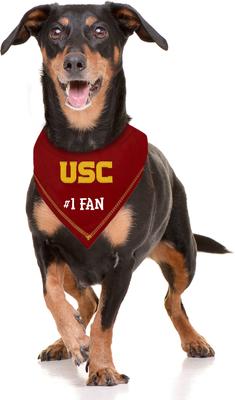 Show full view: Pets First NCAA Usc Trojans Personalized Dog Bandana, Small/Medium slide 5 of 6