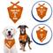 Show in main carousel: Pets First NCAA Tennessee Volunteers Personalized Dog Bandana, Large/X-Large slide 4 of 6