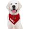 Show in main carousel: Pets First NCAA Louisville Cardinals Personalized Dog Bandana, Large/X-Large slide 5 of 5