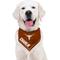 Show in main carousel: Pets First NCAA Texas Longhorns Personalized Dog Bandana, Large/X-Large slide 5 of 5