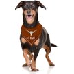 Show in main carousel: Pets First NCAA Texas Longhorns Personalized Dog Bandana, Large/X-Large slide 4 of 5