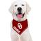 Show in main carousel: Pets First NCAA Oklahoma Sooners Personalized Dog Bandana, Small/Medium slide 5 of 5