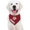 Show in main carousel: Pets First NCAA Texas A&M Personalized Dog Bandana, Large/X-Large slide 6 of 6