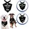 Show in main carousel: Pets First NCAA Purdue Boilermakers Personalized Dog Bandana, Large/X-Large slide 4 of 6