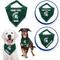 Show in main carousel: Pets First NCAA Michigan State Spartans Personalized Dog Bandana, Small/Medium slide 2 of 5