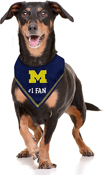 Show full view: Pets First NCAA Michigan Wolverines Personalized Dog Bandana, Large/X-Large slide 4 of 5