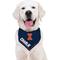 Show in main carousel: Pets First NCAA Illinois Fighting Illini Personalized Dog Bandana, Small/Medium slide 6 of 6