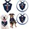 Show in main carousel: Pets First NCAA Illinois Fighting Illini Personalized Dog Bandana, Small/Medium slide 4 of 6