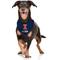 Show in main carousel: Pets First NCAA Illinois Fighting Illini Personalized Dog Bandana, Small/Medium slide 5 of 6