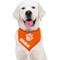 Show in main carousel: Pets First NCAA Clemson Tigers Personalized Dog Bandana, Large/X-Large slide 5 of 5