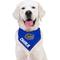 Show in main carousel: Pets First NCAA Florida Gators Personalized Dog Bandana, Large/X-Large slide 6 of 6