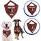 Show in main carousel: Pets First NCAA Florida State Personalized Dog Bandana, Small/Medium slide 3 of 5