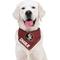 Show in main carousel: Pets First NCAA Florida State Personalized Dog Bandana, Small/Medium slide 5 of 5