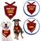 Show in main carousel: Pets First NCAA Usc Trojans Personalized Dog Bandana, Small/Medium slide 4 of 6