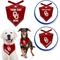 Show in main carousel: Pets First NCAA Oklahoma Sooners Personalized Dog Bandana, Small/Medium slide 3 of 5